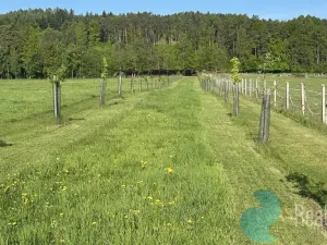 Prodej rodinného domu, Záboří - Lipanovice, 170 m2