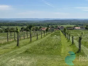 Prodej rodinného domu, Záboří - Lipanovice, 170 m2