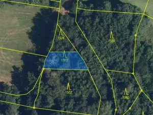 Prodej lesa, Svébohov, 239 m2