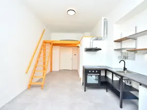 Pronájem bytu 1+kk, Praha - Vinohrady, Rejskova, 22 m2