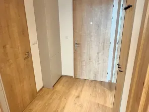 Pronájem bytu 1+kk, Brno, Placzkova, 33 m2