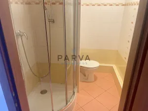 Pronájem bytu 1+kk, Plzeň - Doubravka, Lesní, 20 m2