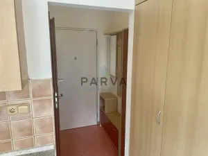 Pronájem bytu 1+kk, Plzeň - Doubravka, Lesní, 20 m2