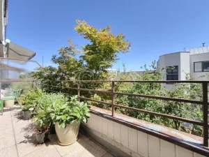Pronájem bytu 3+kk, Praha - Břevnov, Ve Střešovičkách, 81 m2