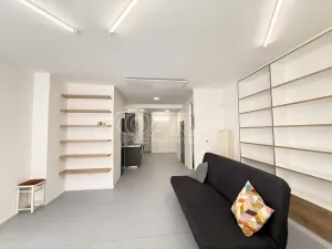 Pronájem bytu 1+kk, Praha - Nové Město, Dittrichova, 55 m2