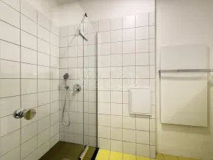 Pronájem bytu 1+kk, Praha - Nové Město, Dittrichova, 55 m2