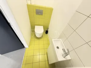 Pronájem bytu 1+kk, Praha - Nové Město, Dittrichova, 55 m2