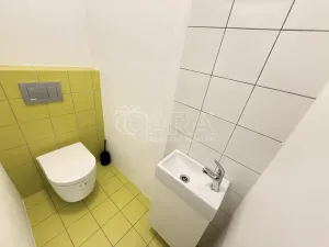 Pronájem bytu 1+kk, Praha - Nové Město, Dittrichova, 55 m2