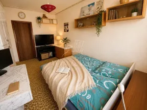 Pronájem bytu 3+1, Benátky nad Jizerou, Platanová, 73 m2