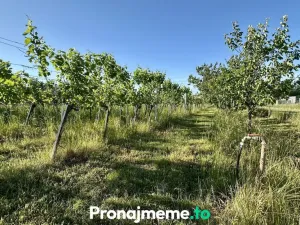 Pronájem - jiné, Šatov, 1759 m2