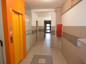 Prodej bytu 2+1, České Budějovice, Větrná, 61 m2