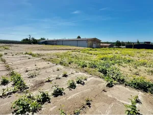 Prodej skladu, Řídký, 1400 m2