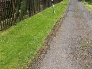 Prodej pozemku pro bydlení, Staré Křečany - Nové Křečany, 1800 m2