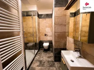 Pronájem bytu 2+kk, Plzeň, Solní, 54 m2