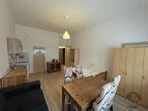 Pronájem bytu 1+kk, Praha - Nusle, 5. května, 30 m2