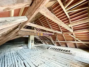 Prodej chalupy, Tuhaň, 700 m2