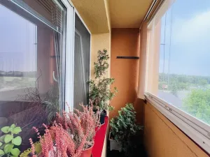 Pronájem bytu 2+1, Ostrava, Jičínská, 65 m2