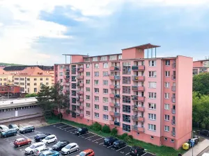 Pronájem bytu 1+1, Teplice, Duchcovská, 37 m2
