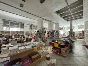 Pronájem obchodního prostoru, Teplice, Školní, 441 m2