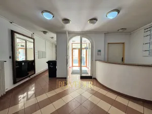 Pronájem obchodního prostoru, Teplice, Školní, 441 m2