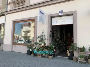 Pronájem obchodního prostoru, Kroměříž, Riegrovo náměstí, 17 m2