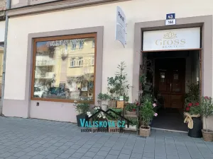 Pronájem obchodního prostoru, Kroměříž, Riegrovo náměstí, 17 m2