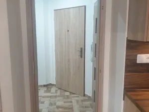 Pronájem bytu 2+kk, Plzeň - Jižní Předměstí, Vrchlického, 54 m2