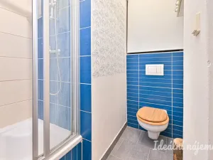 Pronájem bytu 1+1, Brno, Schovaná, 41 m2