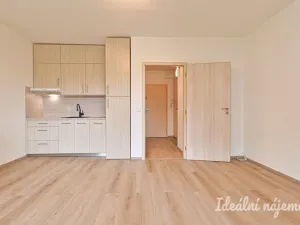 Pronájem bytu 1+kk, Brno, Moldavská, 30 m2