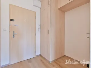 Pronájem bytu 1+kk, Brno, Moldavská, 30 m2