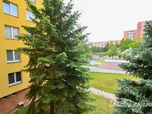 Pronájem bytu 1+kk, Brno, Moldavská, 30 m2