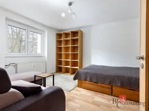 Pronájem bytu 1+1, Plzeň - Jižní Předměstí, Raisova, 30 m2