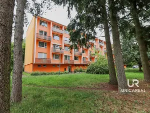 Prodej bytu 3+1, Brno - Komín, Řezáčova, 75 m2