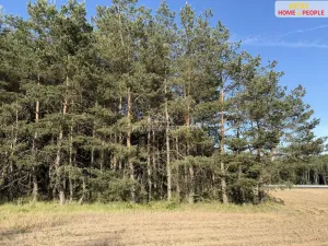 Prodej lesa, Háje, 4000 m2
