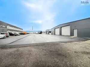 Pronájem skladu, Košťany, Kamenný Pahorek, 250 m2