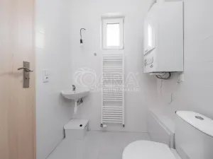 Pronájem rodinného domu, Nelahozeves - Lešany, Letní, 120 m2