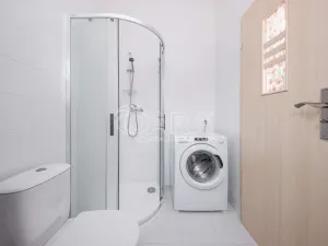 Pronájem rodinného domu, Nelahozeves - Lešany, Letní, 120 m2