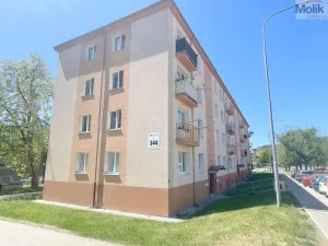 Pronájem bytu 2+1, Most, Mladé gardy, 56 m2