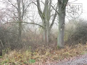 Prodej pozemku, Blatná, Na Příkopech, 3100 m2