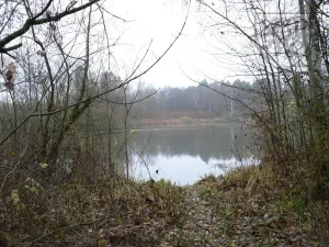 Prodej pozemku, Blatná, Na Příkopech, 9366 m2
