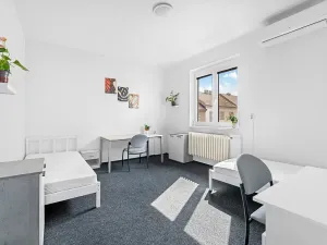 Pronájem - jiné, Brno, Jelínkova, 89 m2