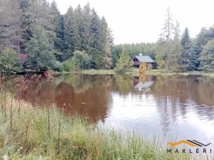 Prodej zemědělské usedlosti, Horní Radouň - Starý Bozděchov, 2600 m2