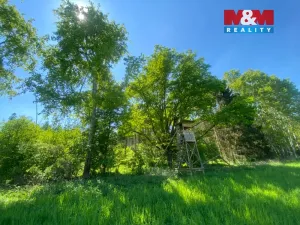 Prodej lesa, Kropáčova Vrutice - Sušno, 15167 m2