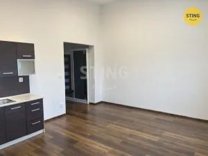 Pronájem bytu 2+kk, Opava, Hviezdoslavova, 52 m2