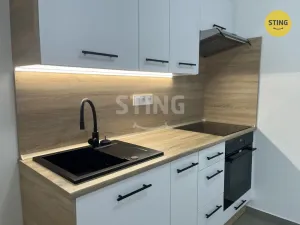 Pronájem bytu 1+kk, Opava, Hviezdoslavova, 25 m2