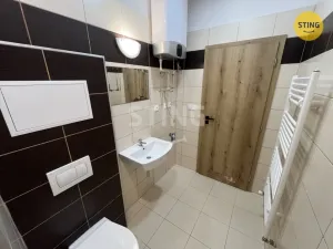 Pronájem bytu 1+kk, Opava, Hviezdoslavova, 25 m2