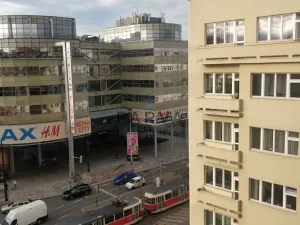Pronájem bytu 1+1, Praha - Vinohrady, Vinohradská, 45 m2
