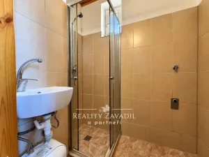 Pronájem bytu 1+1, Český Těšín, Na Olšinách, 55 m2