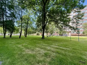 Prodej bytu 2+1, Ostrava, náměstí Družby, 52 m2