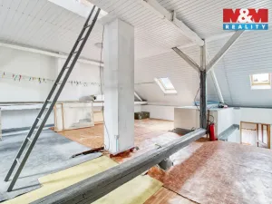 Prodej rodinného domu, Chomutov, Palachova, 252 m2